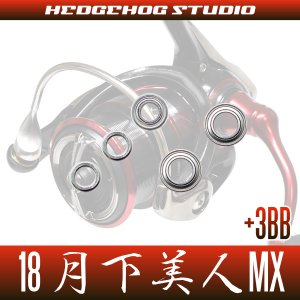 画像2: 18月下美人MX LT1000S-P, LT2000S-P, LT2000S用 MAX8BB フルベアリングチューニングキット