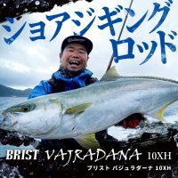 【Fishman/フィッシュマン】BRIST VAJRADANA 10XH（ブリスト ヴァジュラ）