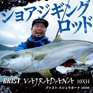 画像1: 【Fishman/フィッシュマン】BRIST VAJRADANA 10XH（ブリスト ヴァジュラ）