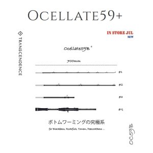 画像1: 【TRANSCENDENCE/トランスセンデンス】Ocelate 59B / オセレイト