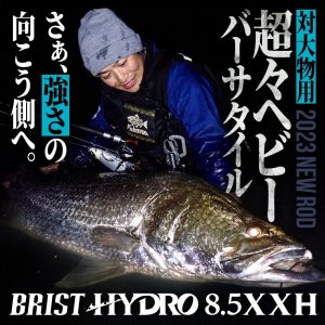 画像1: 【Fishman/フィッシュマン】BRIST HYDRO 8.5XXH（ブリスト ハイドロ）