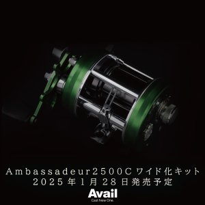 画像2: 【Avail/アベイル】Ambassadeur1500C/2500C対応 ワイド化キット（オフセットフレーム, ウォームシャフト, スプール3点セット）【右巻き用】【AMB2520RW】