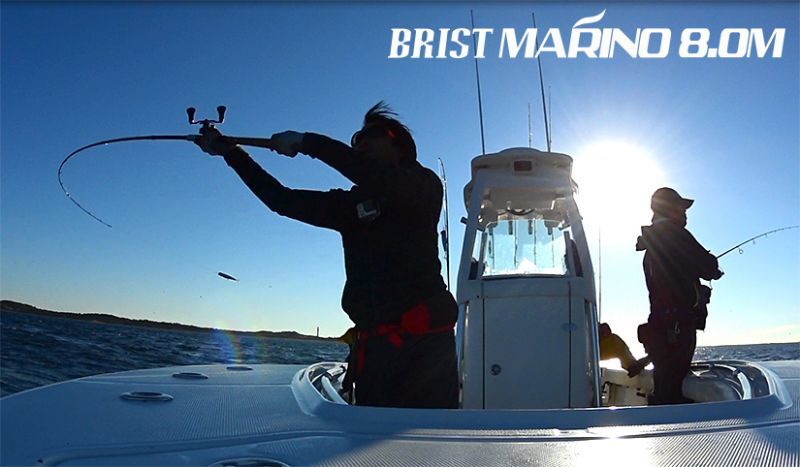 Fishman] BRIST MARINO 8.0M (Rod) - HEDGEHOG STUDIO