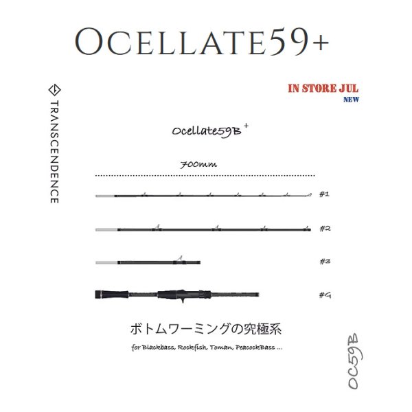 画像1: 【TRANSCENDENCE/トランスセンデンス】Ocelate 59B / オセレイト (1)