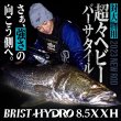 画像1: 【Fishman/フィッシュマン】BRIST HYDRO 8.5XXH（ブリスト ハイドロ） (1)