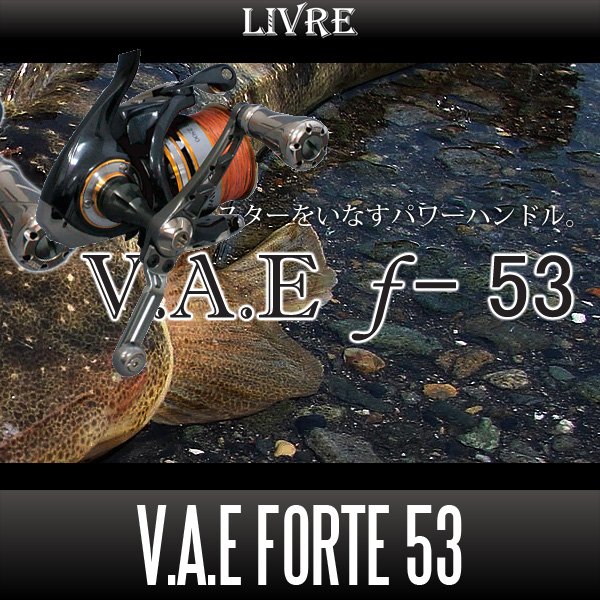 リブレ/LIVRE】 V.A.E Forte 53