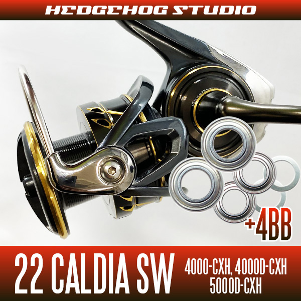 CALDIA SW 4000-CXH